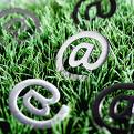 Bilan des blogs politiques locaux qui ont cess� d�exister